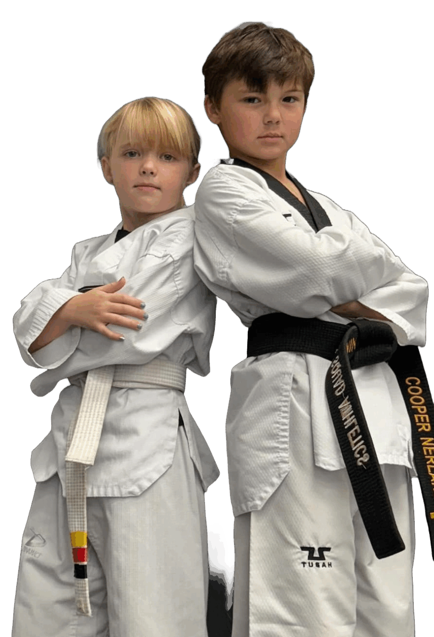 taekwondo in Sarasota 6 & 9 year old